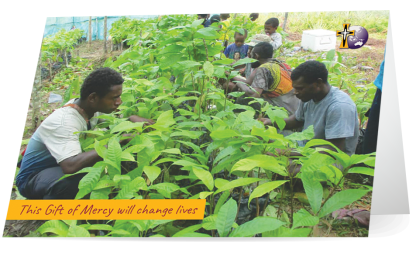 The Gift of Sustainable Farming